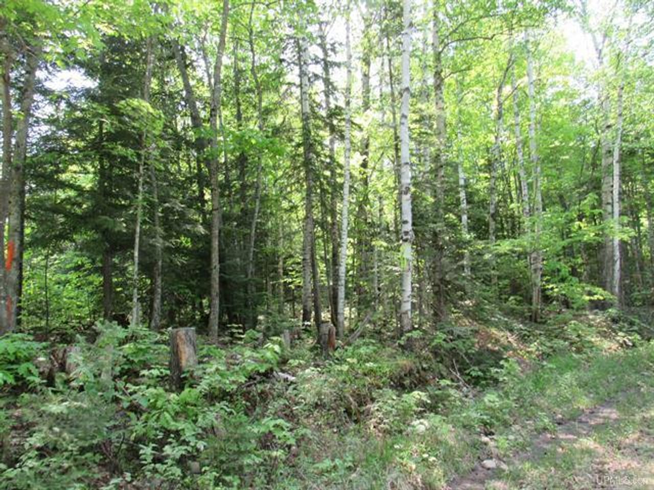 Listing Image 51