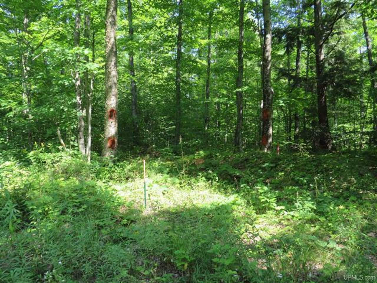 Listing Image 53