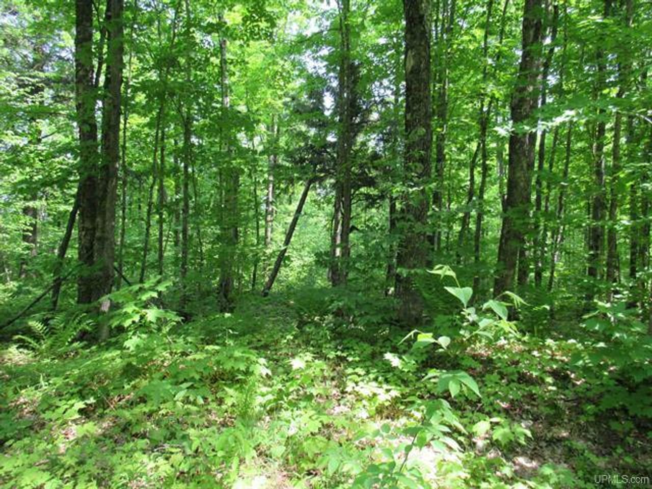 Listing Image 58