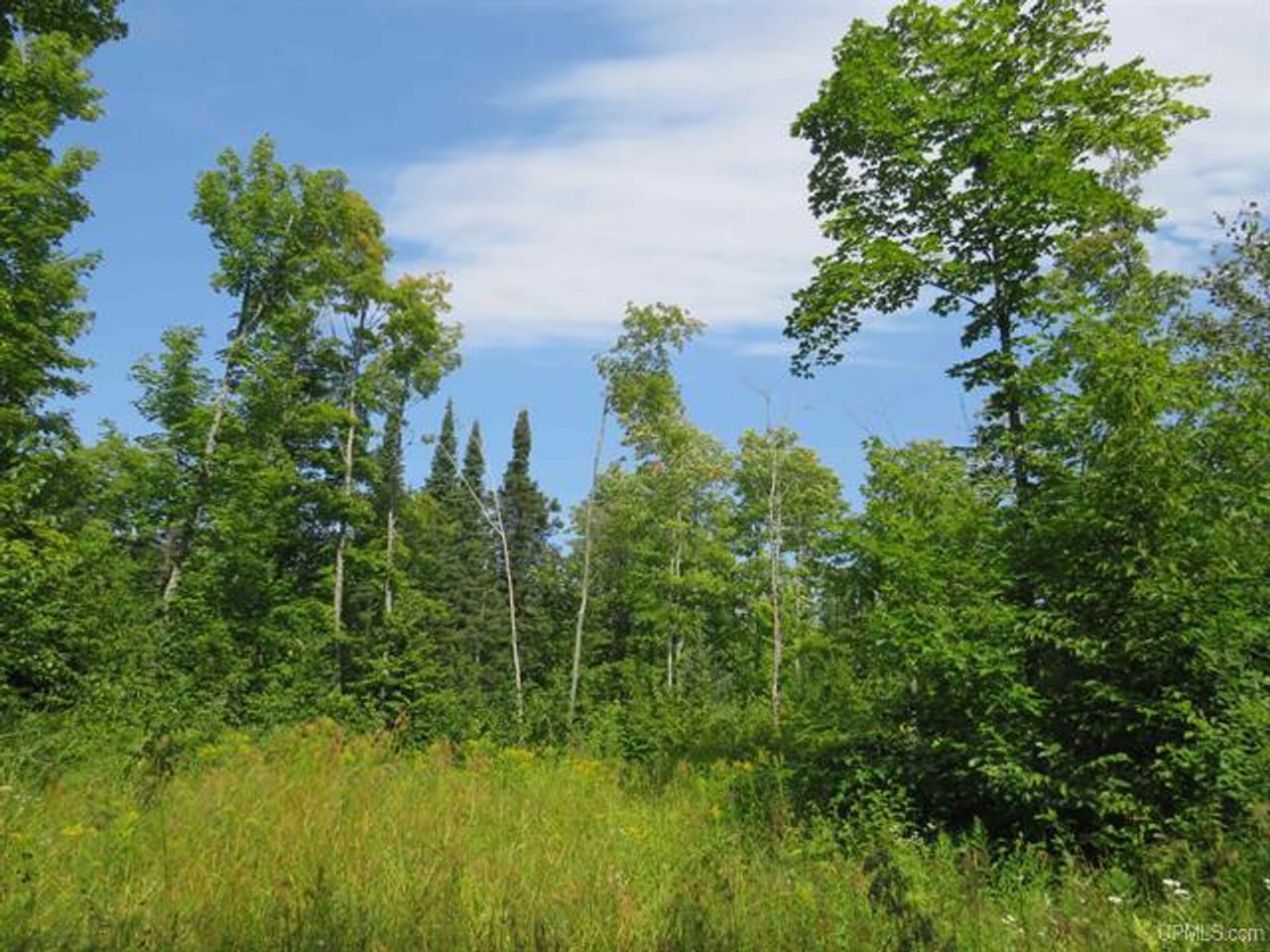 Listing Image 59