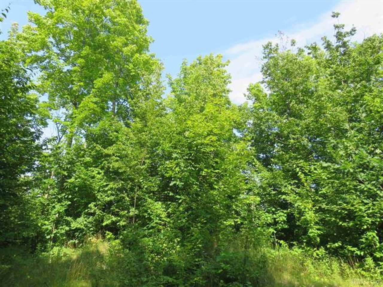 Listing Image 67