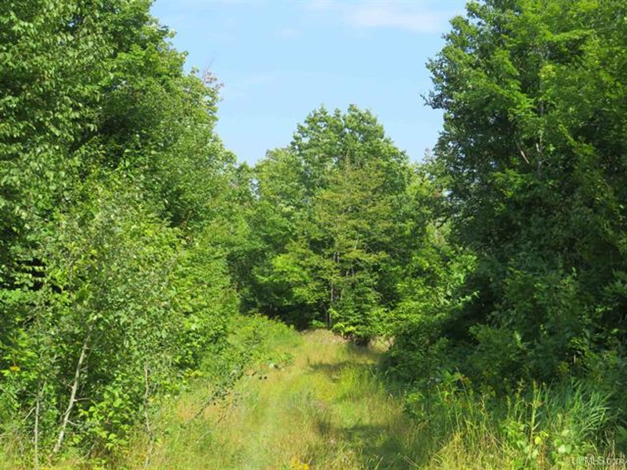 Listing Image 74