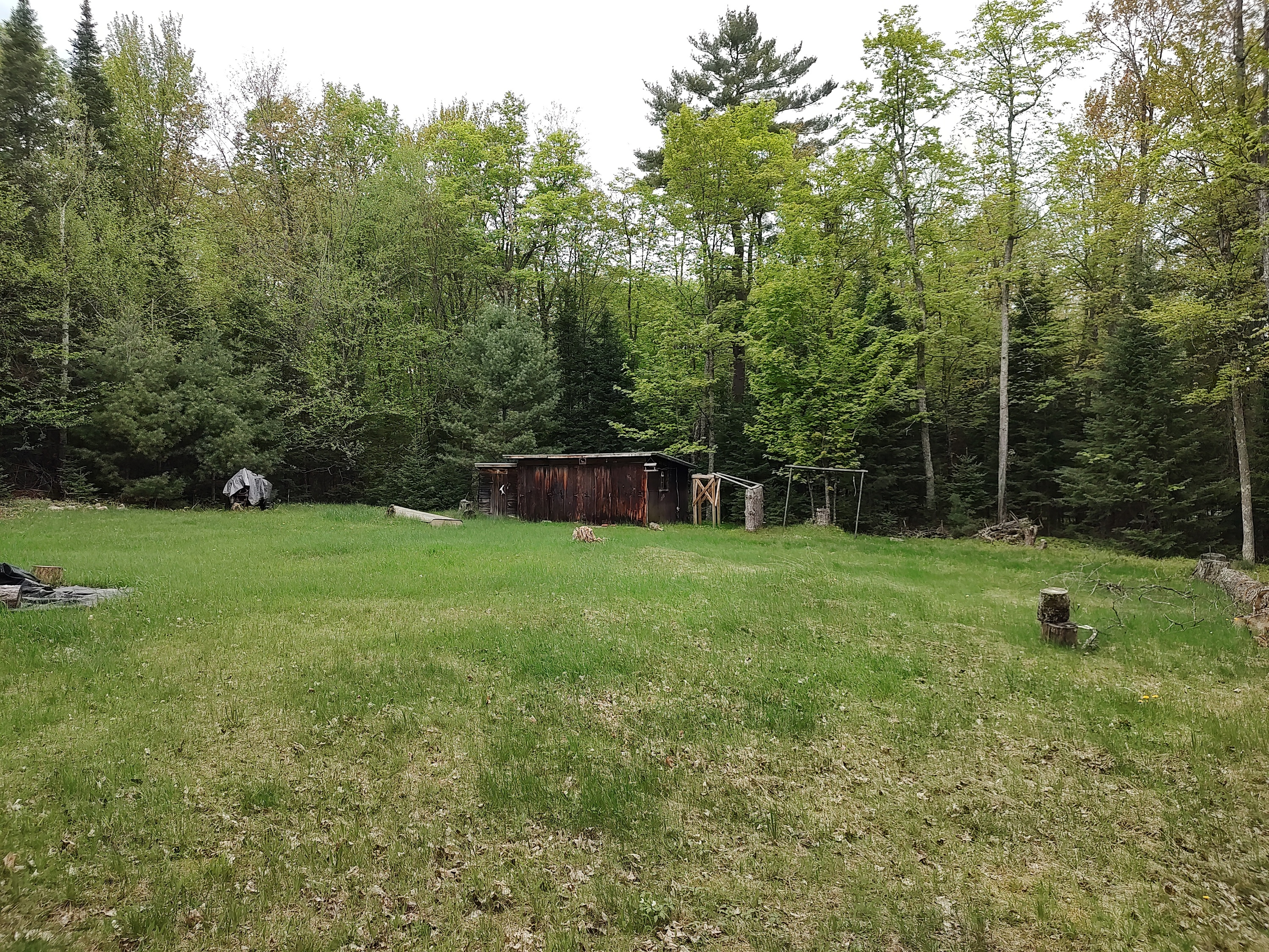 U.P. Robinson Lake Parcel 50167828