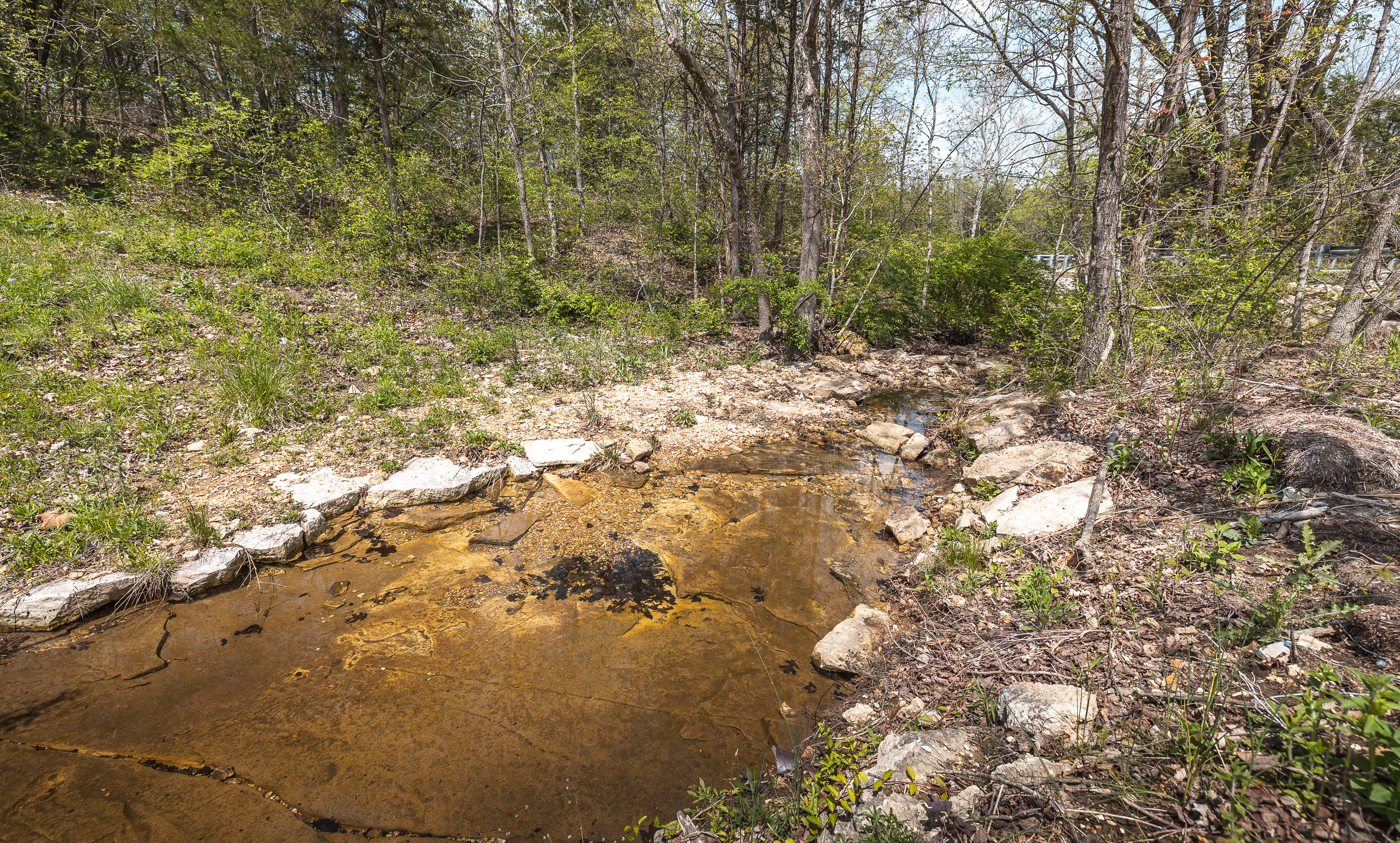 Hawkwood Trail