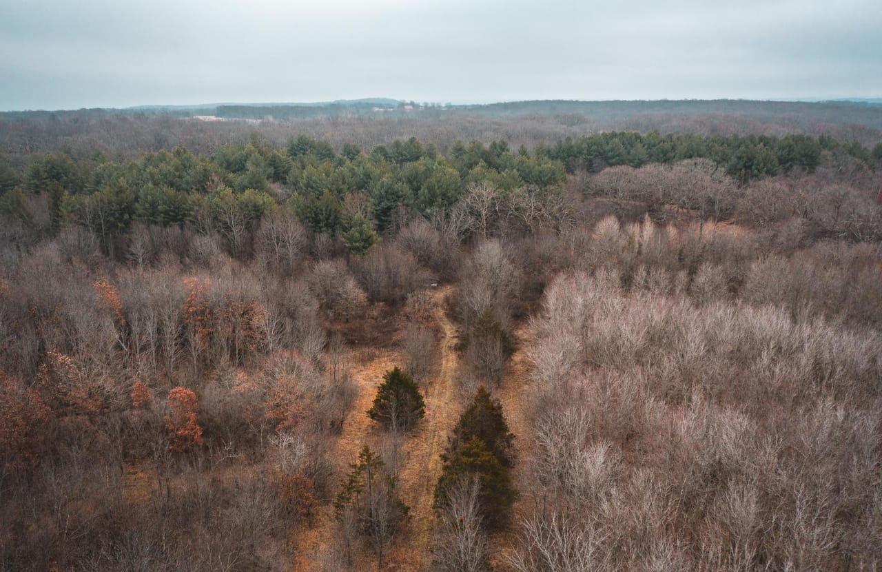 Listing Image 9