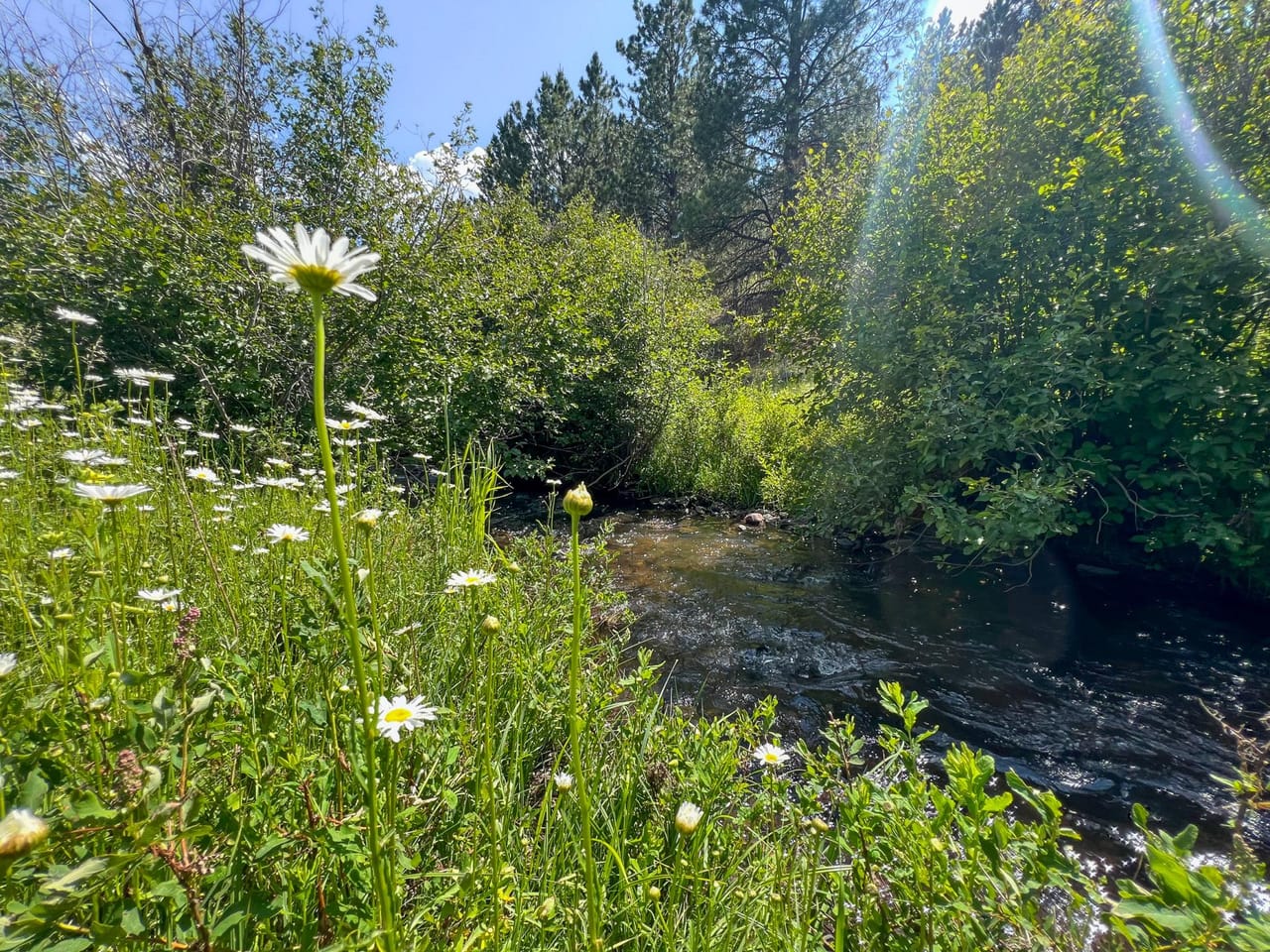 Listing Image 59