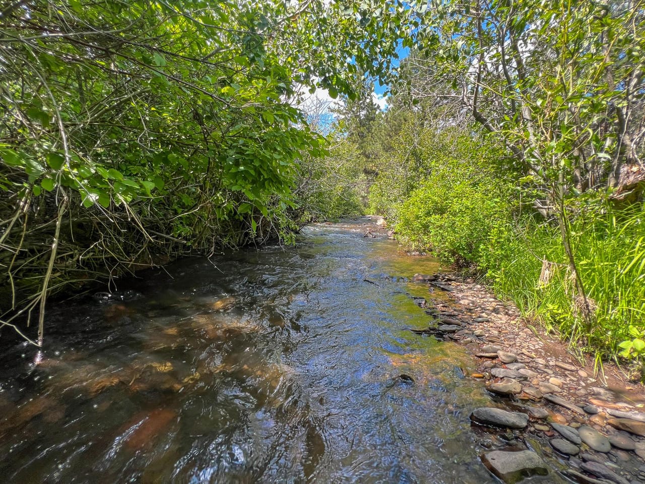 Listing Image 60