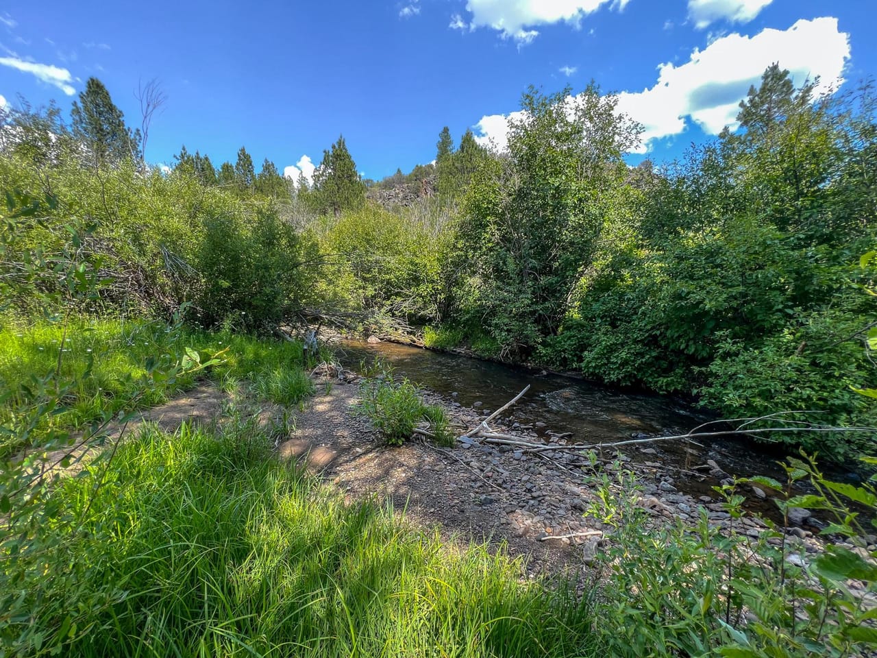 Listing Image 62