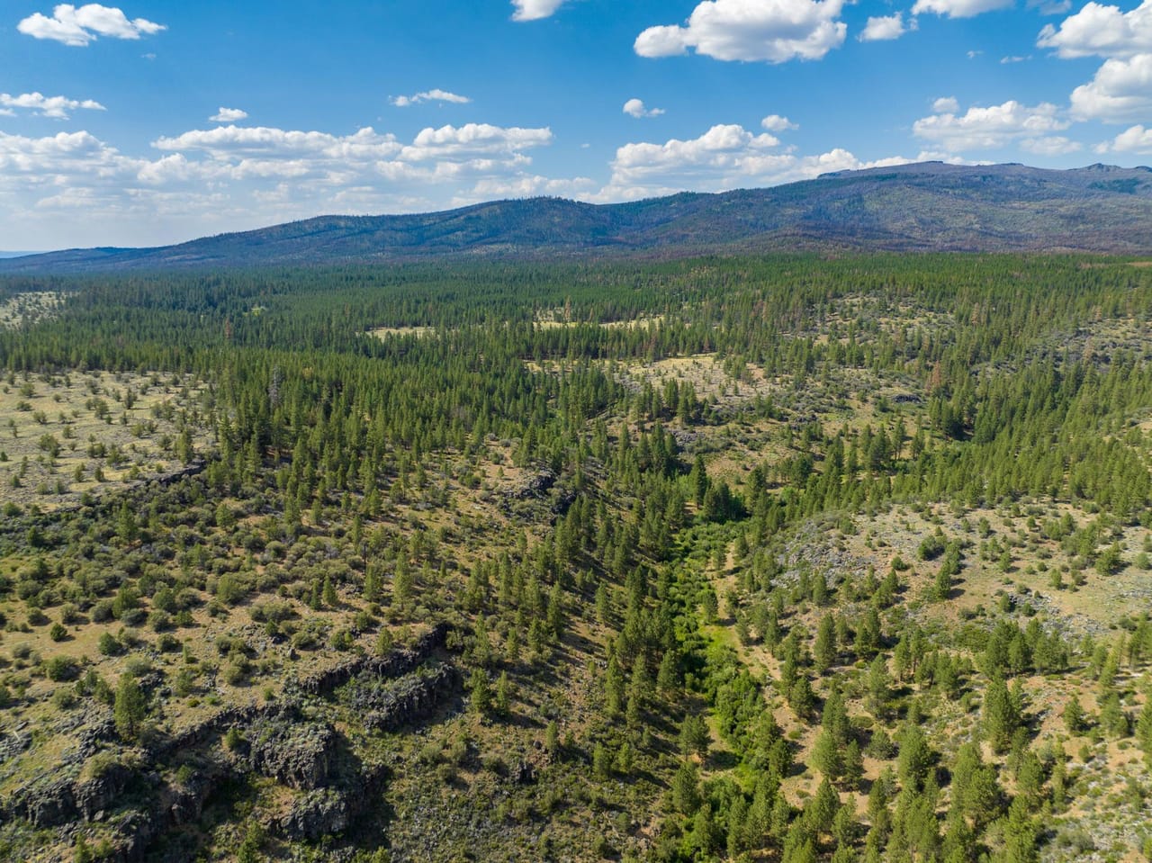 Listing Image 65