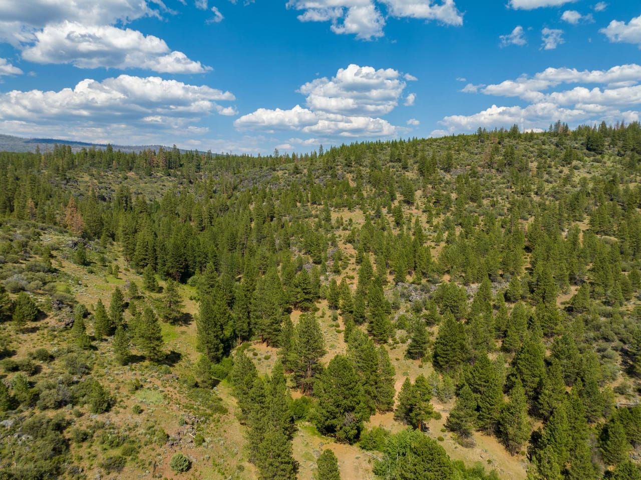 Listing Image 68