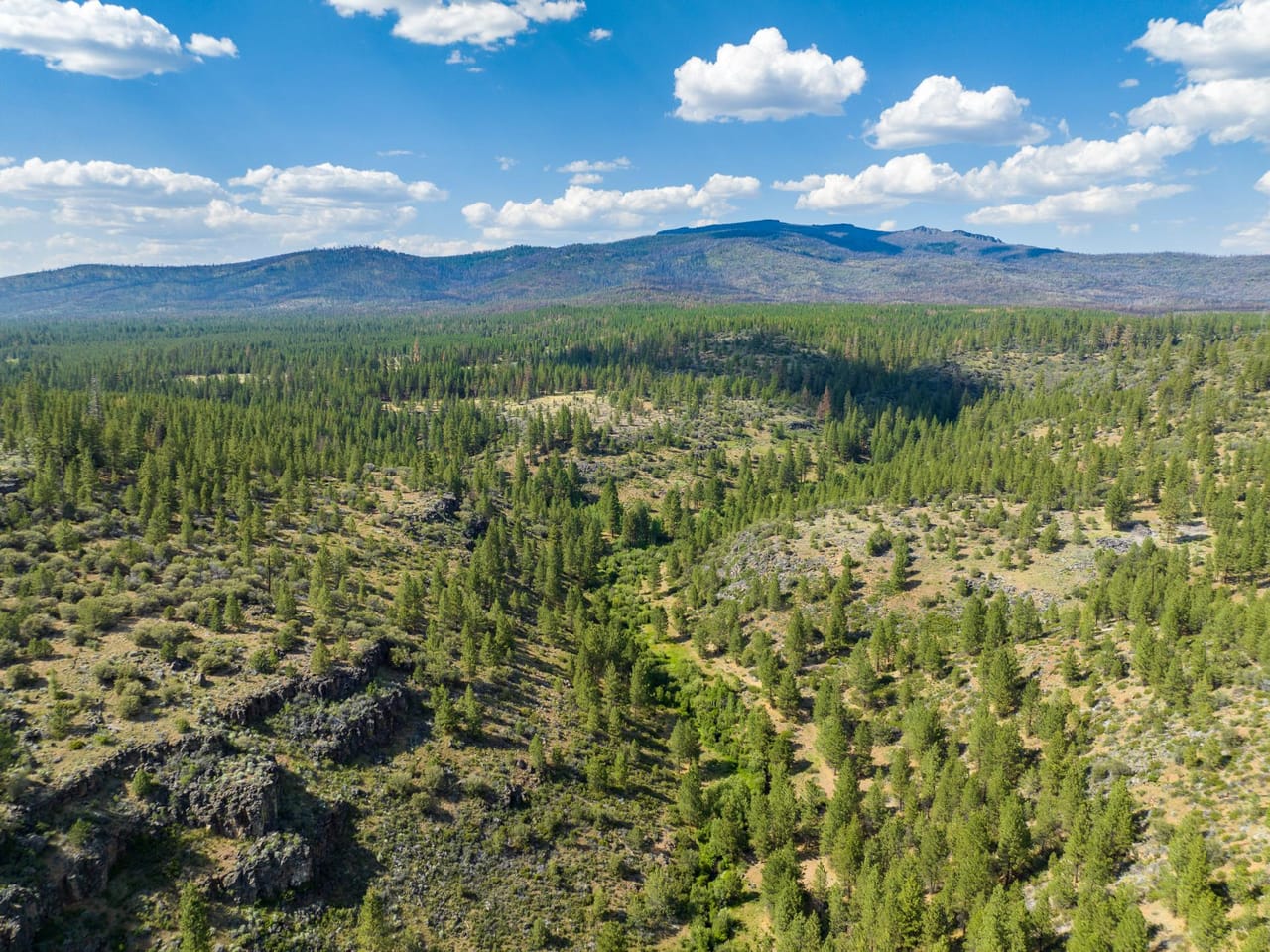 Listing Image 83