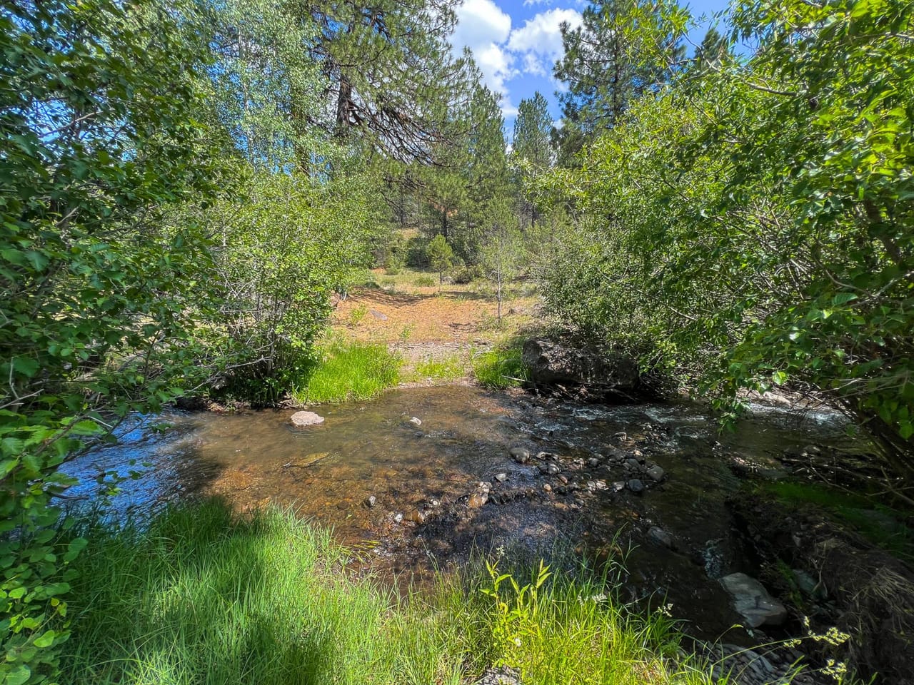 Listing Image 84