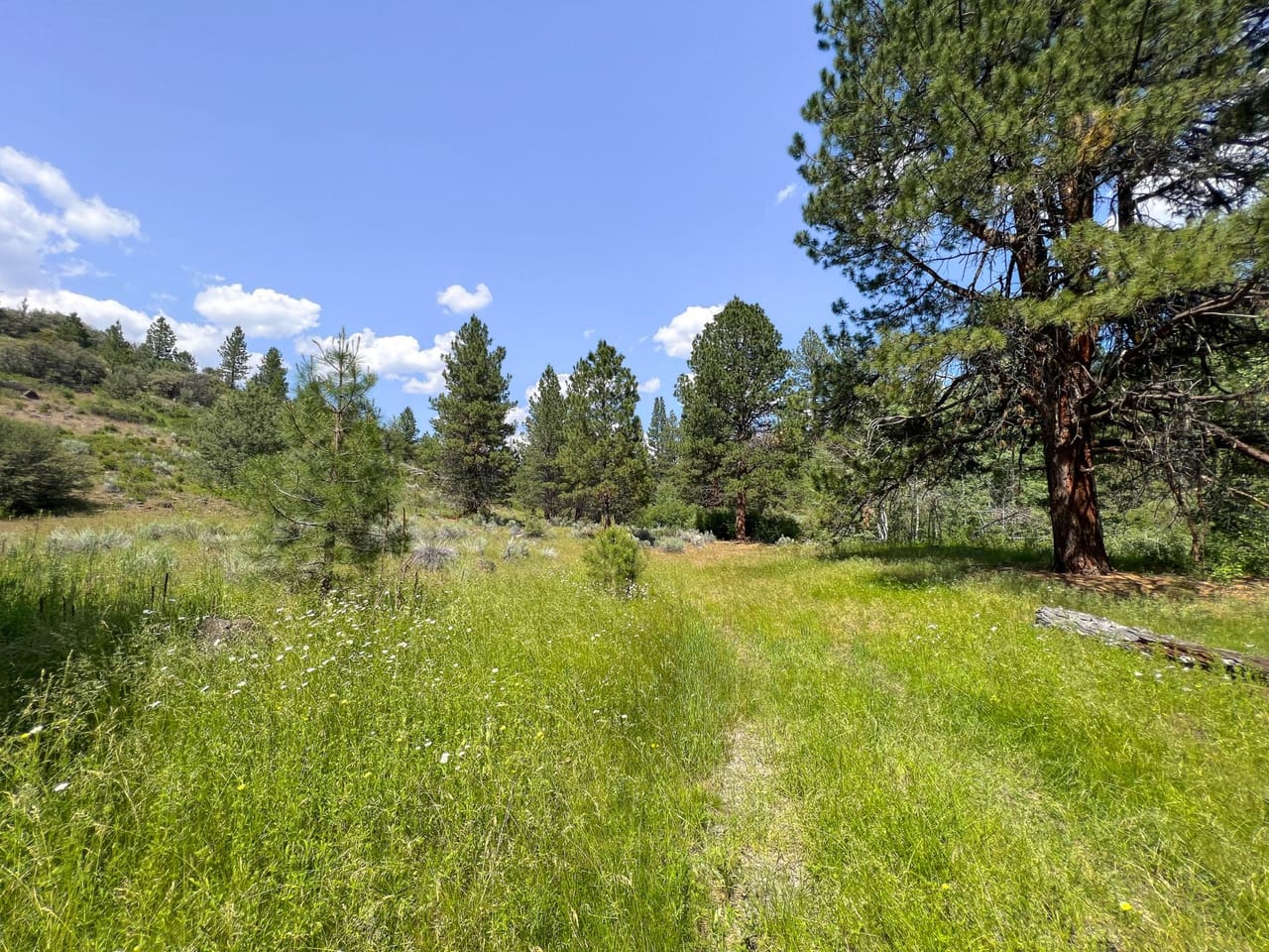 Listing Image 25