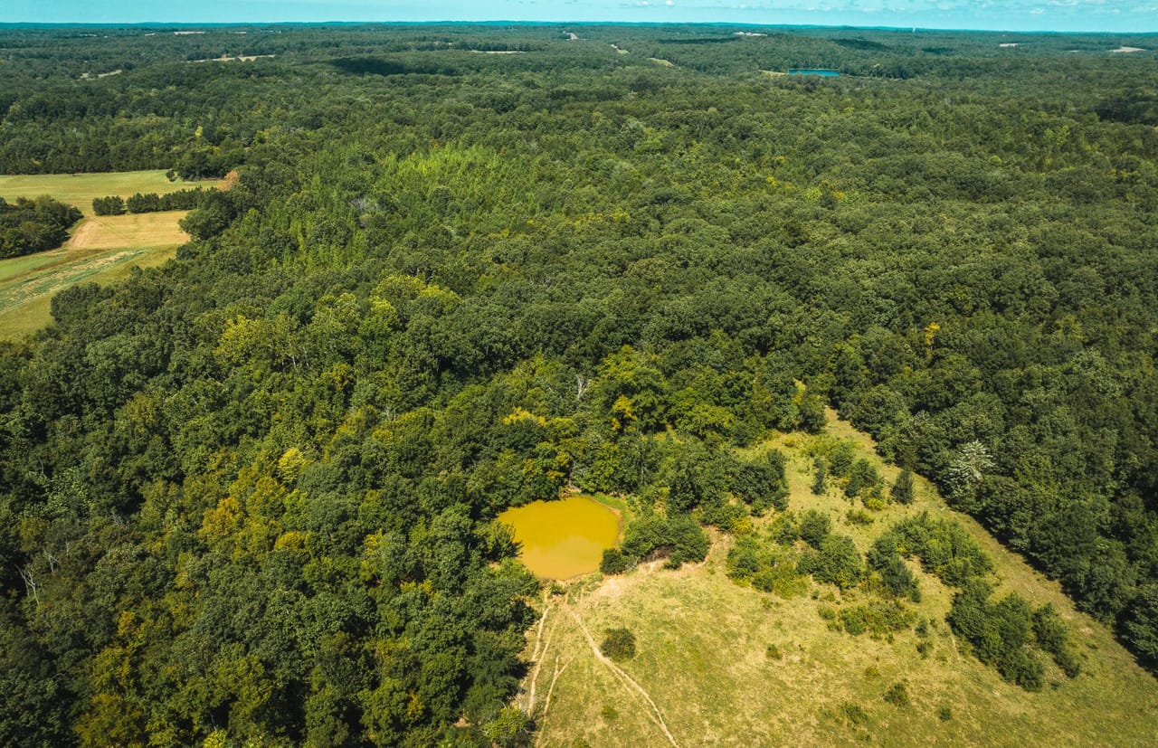 Listing Image 16
