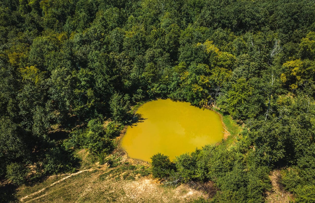 Listing Image 21