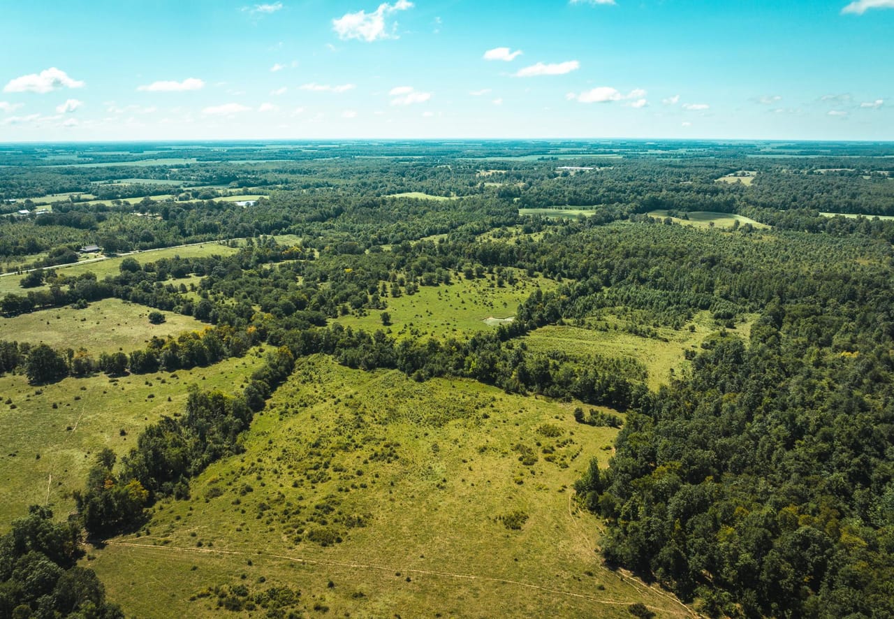 Listing Image 65