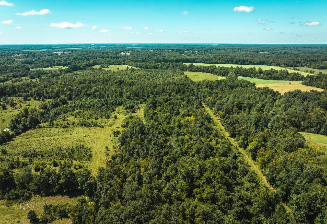 Listing Image 69