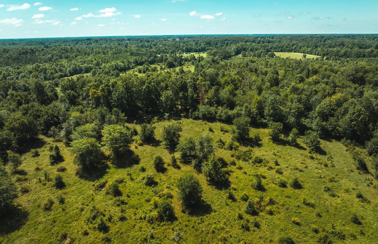 Listing Image 48