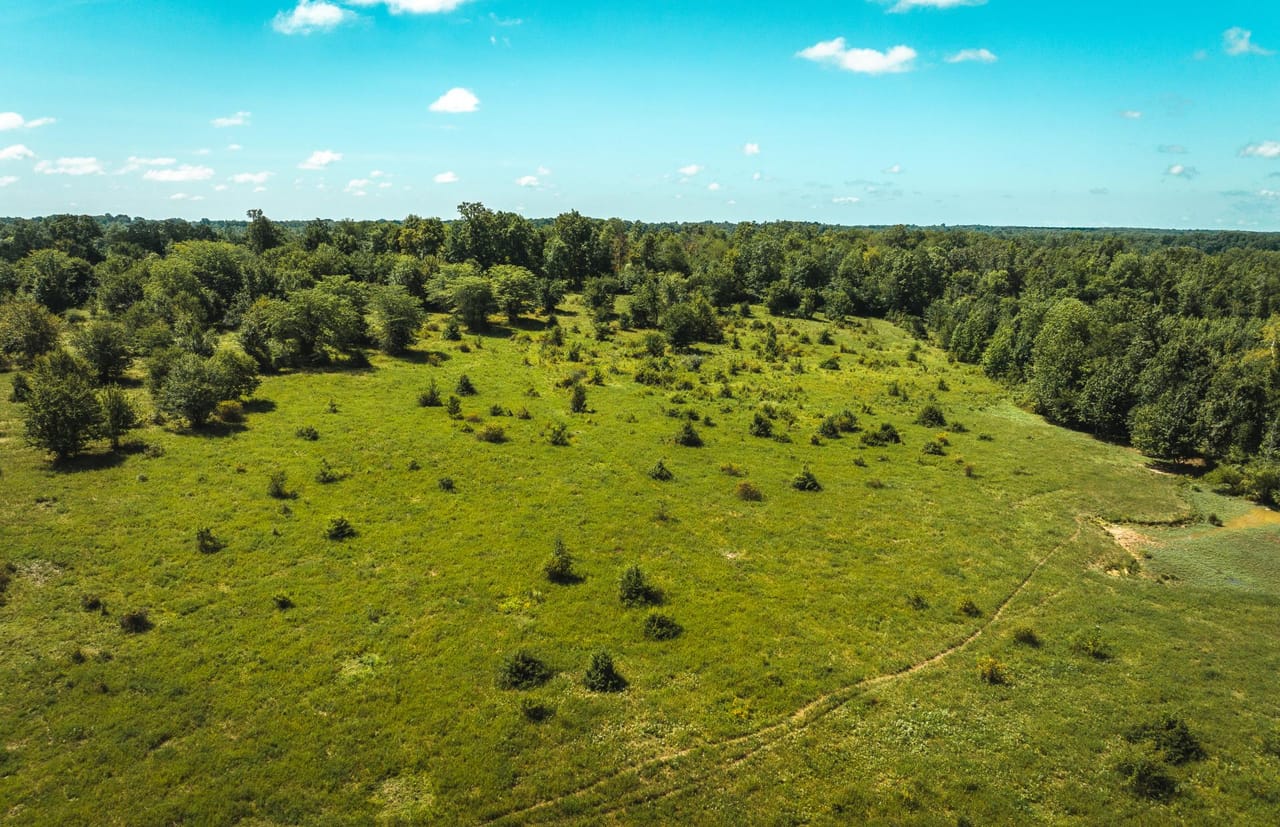 Listing Image 66