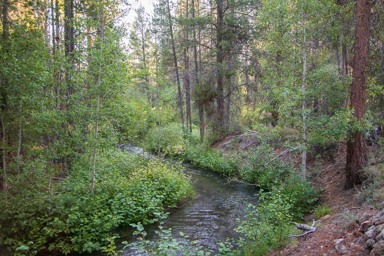 Listing Image 58