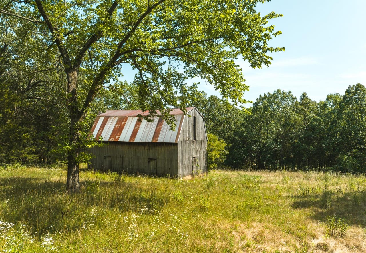Listing Image 19