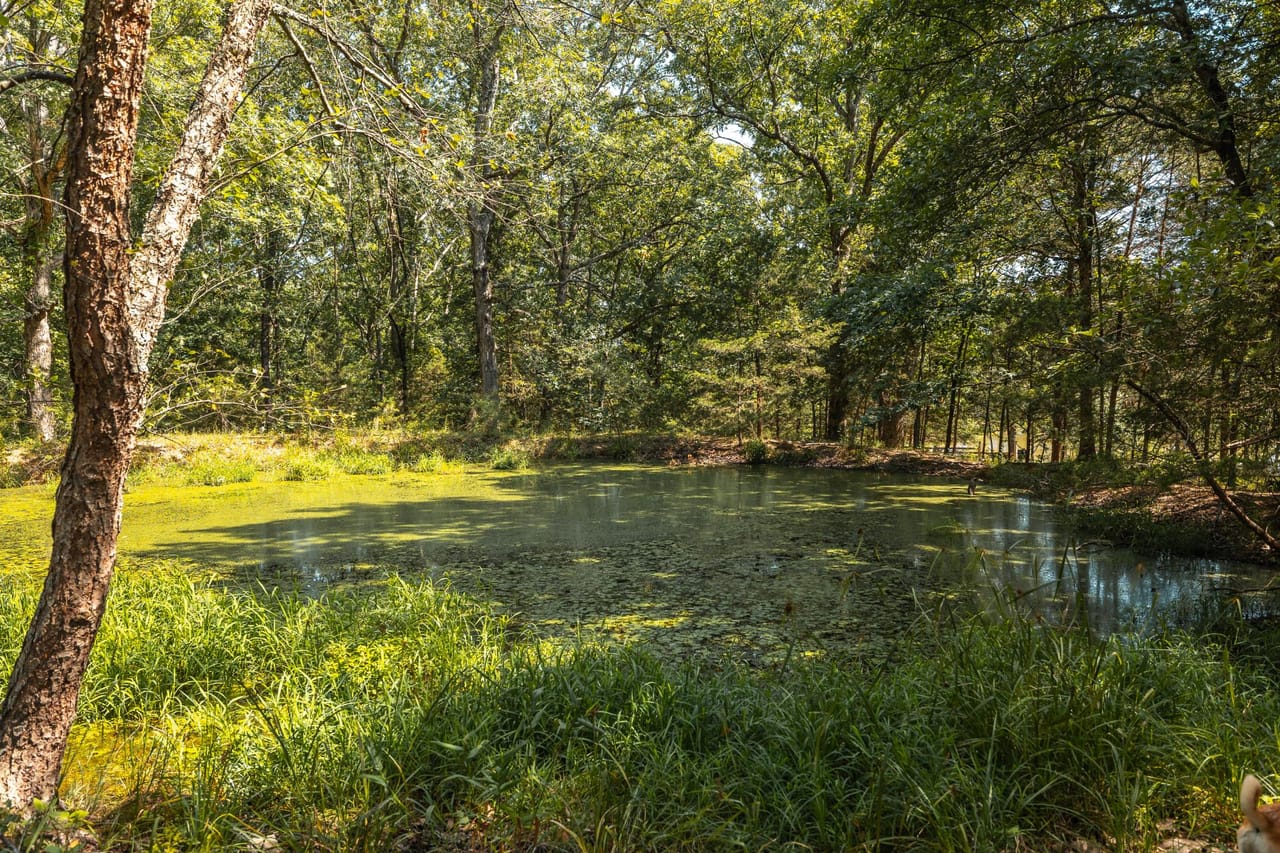 Listing Image 9