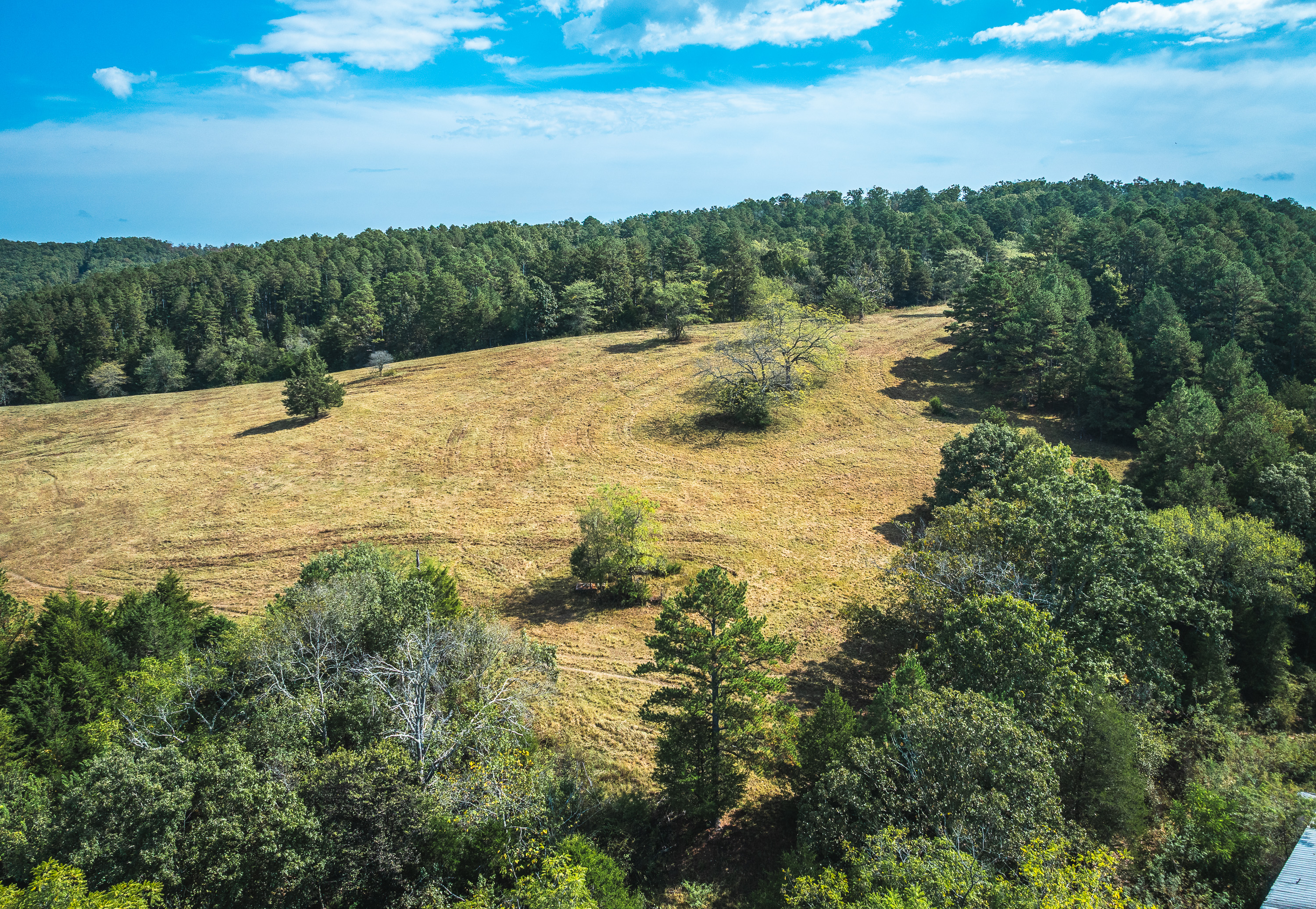 Ashley Creek Ranch 329