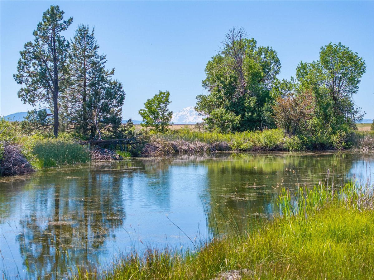 Mystic Mountain Ranch