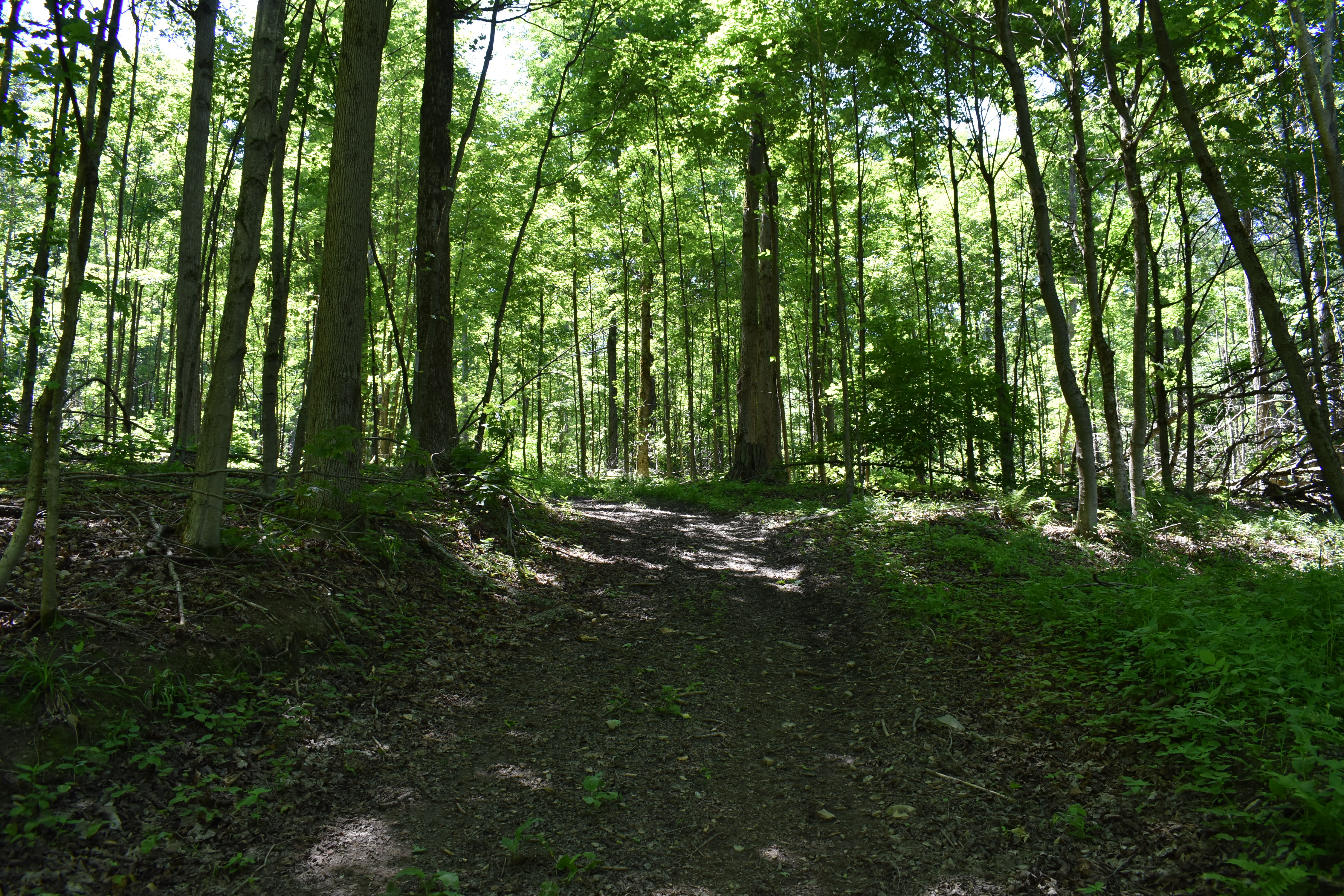 Fabulous Farrington Hollow