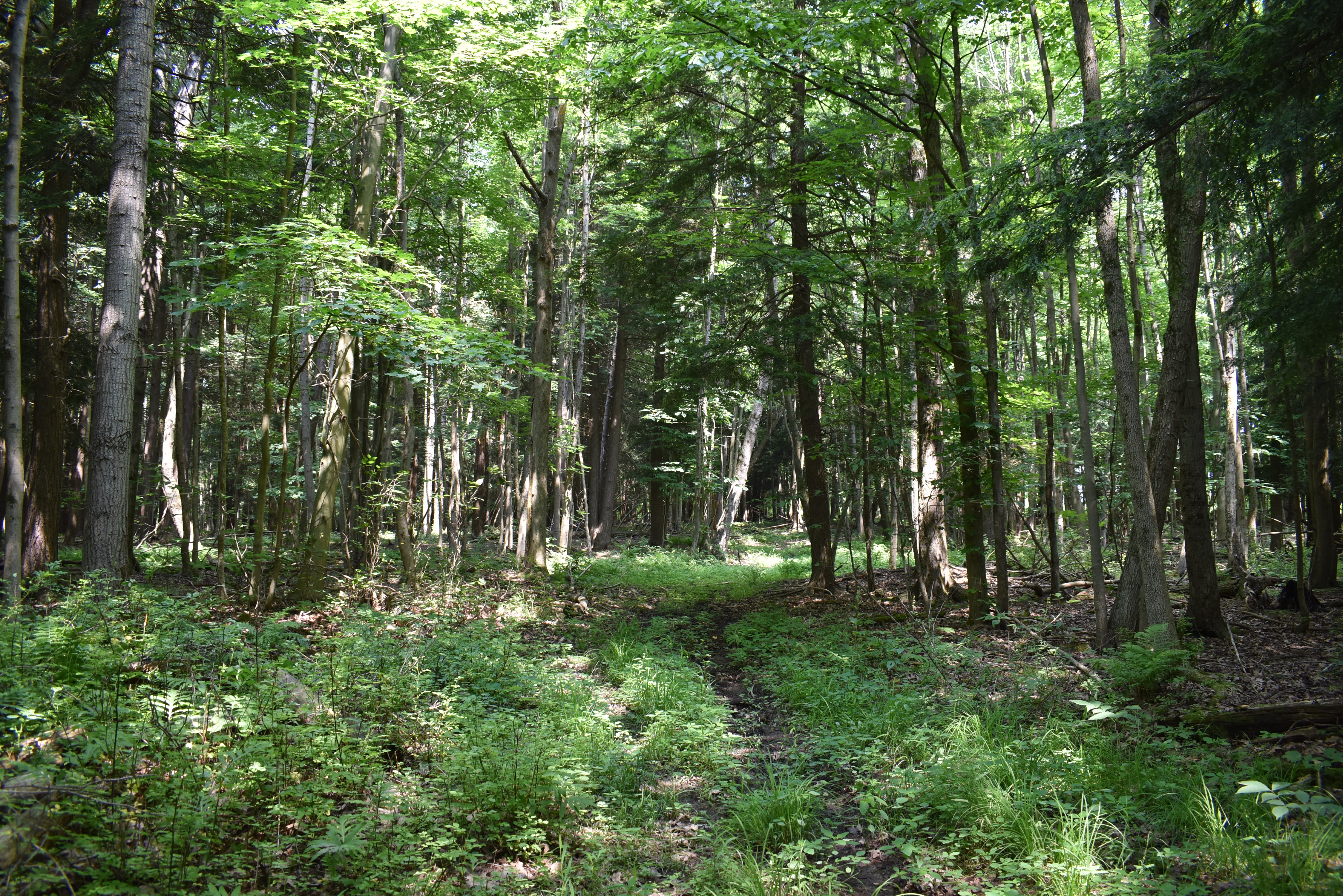 Listing Image 78