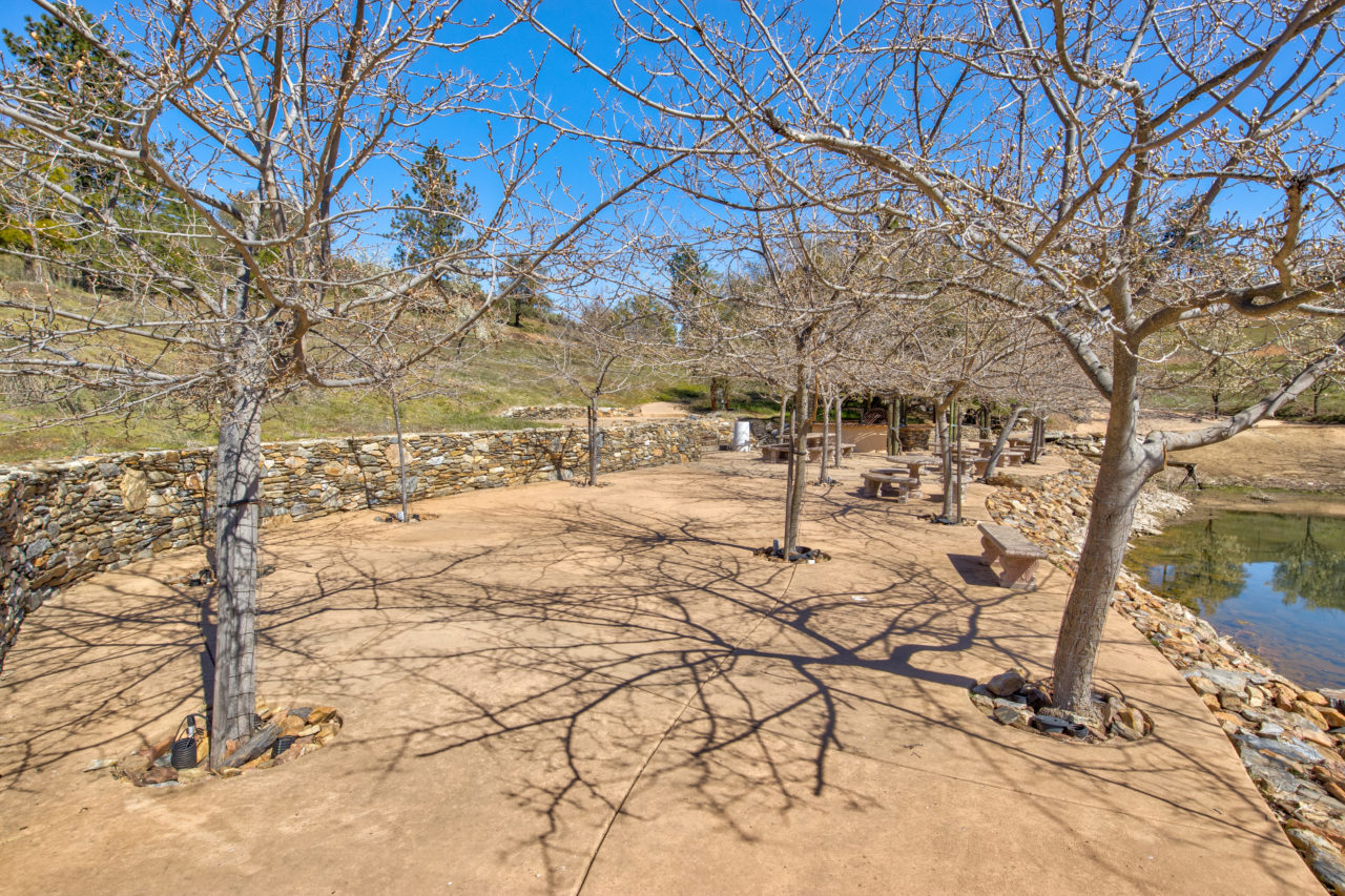 Tailem Bend Ranch and Vineyard