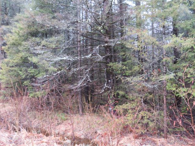 80 Acre Woodland Retreat 50173805