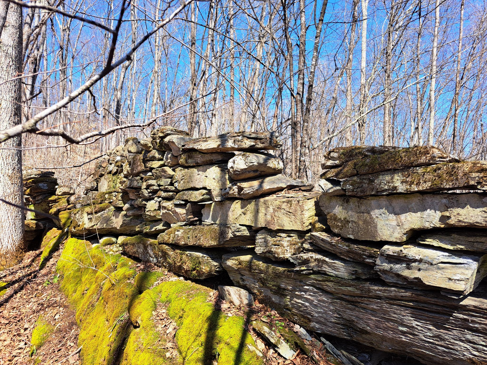 Listing Image 18