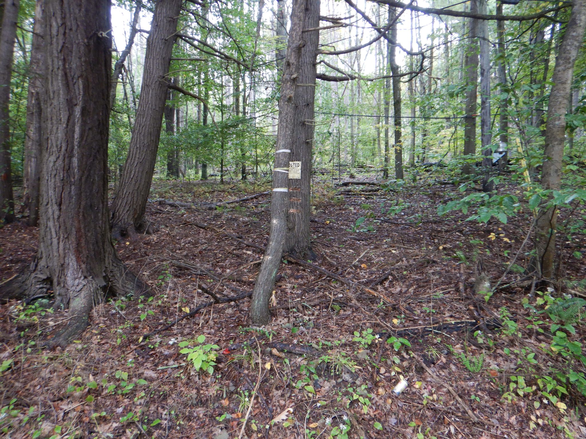Listing Image 29