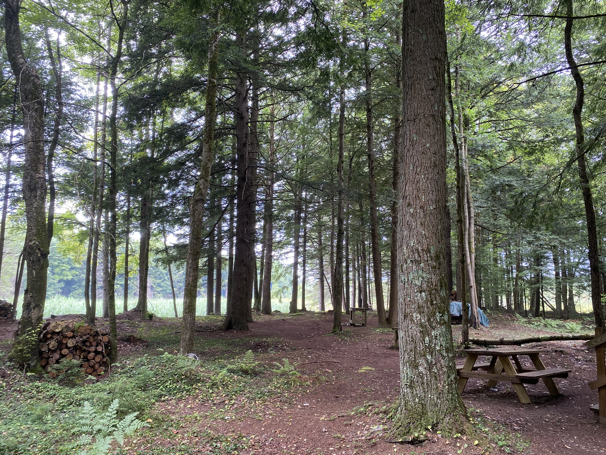 Cabin on the Little River