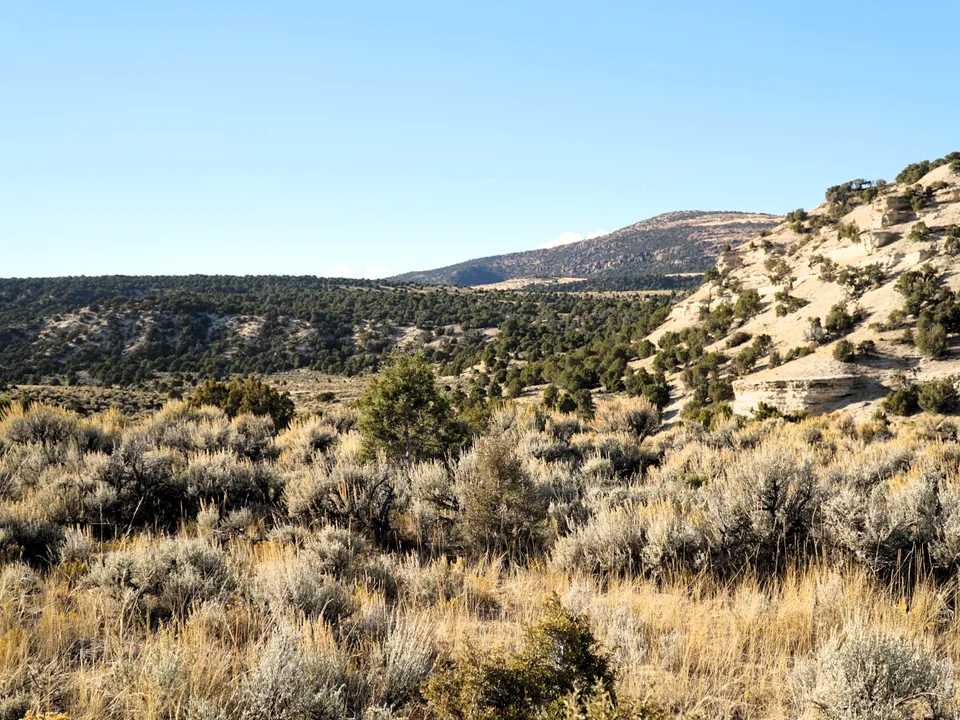 Maybell Grazing & Big Game Ranch
