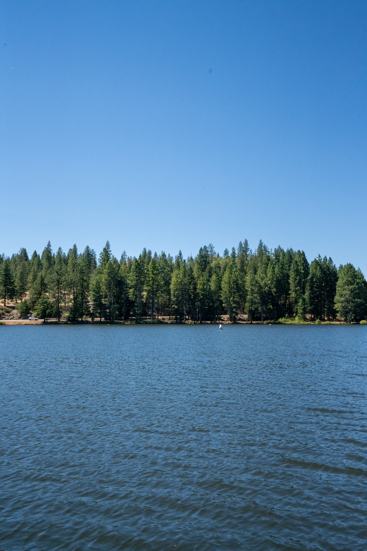 Medco Pond- Recreational Retreat