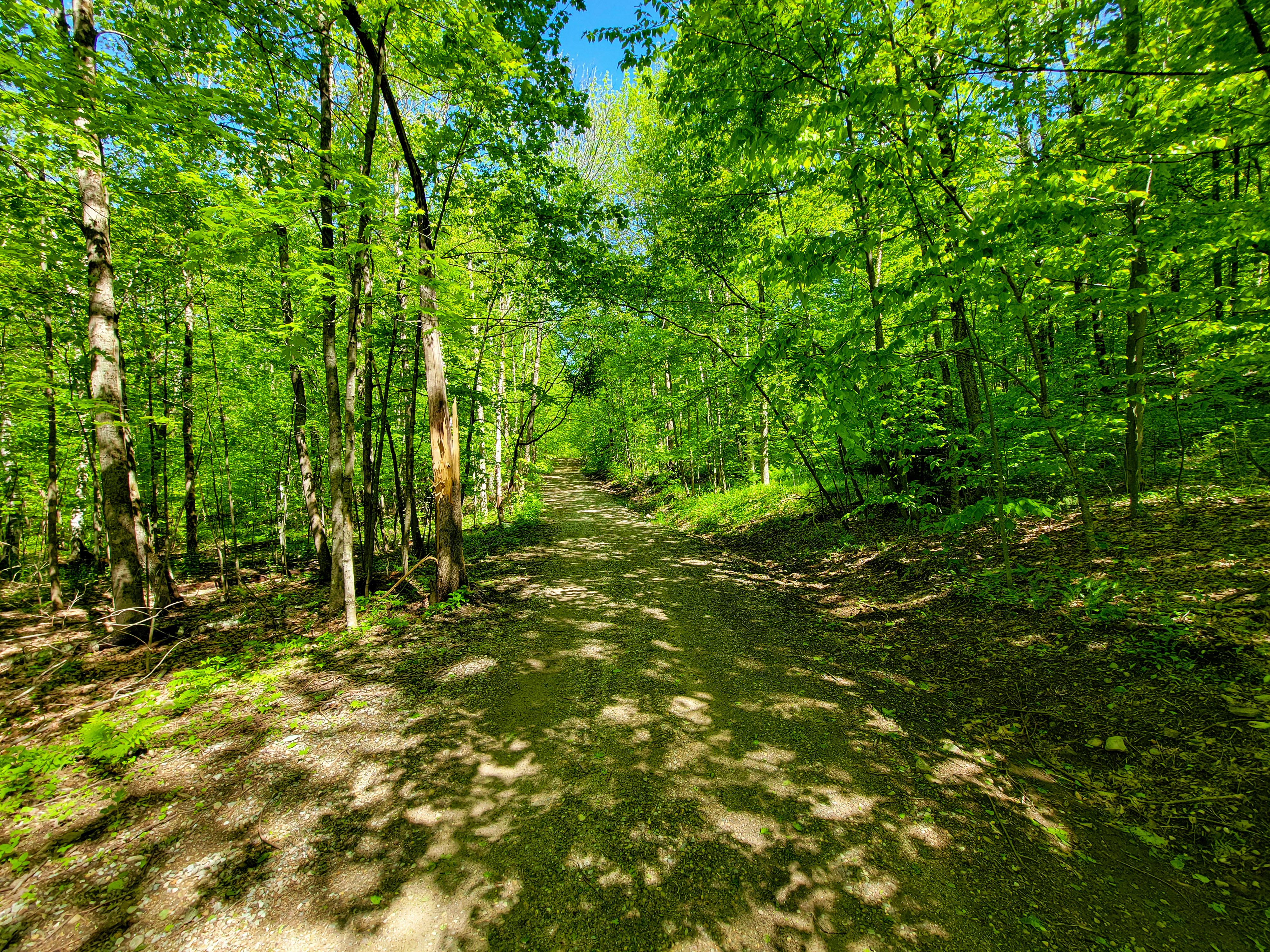 925 Hathaway Rd - Goshen