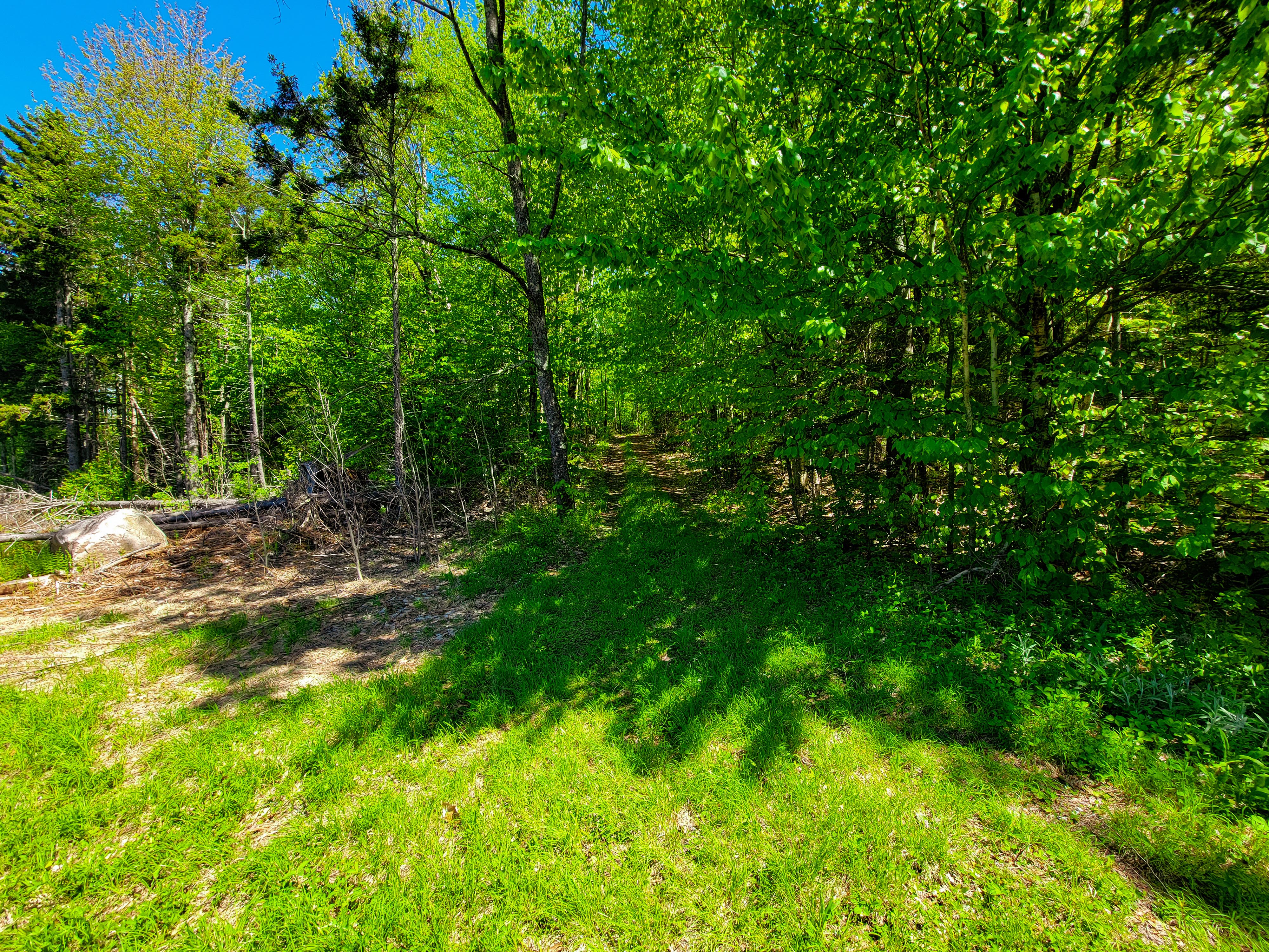 925 Hathaway Rd - Goshen