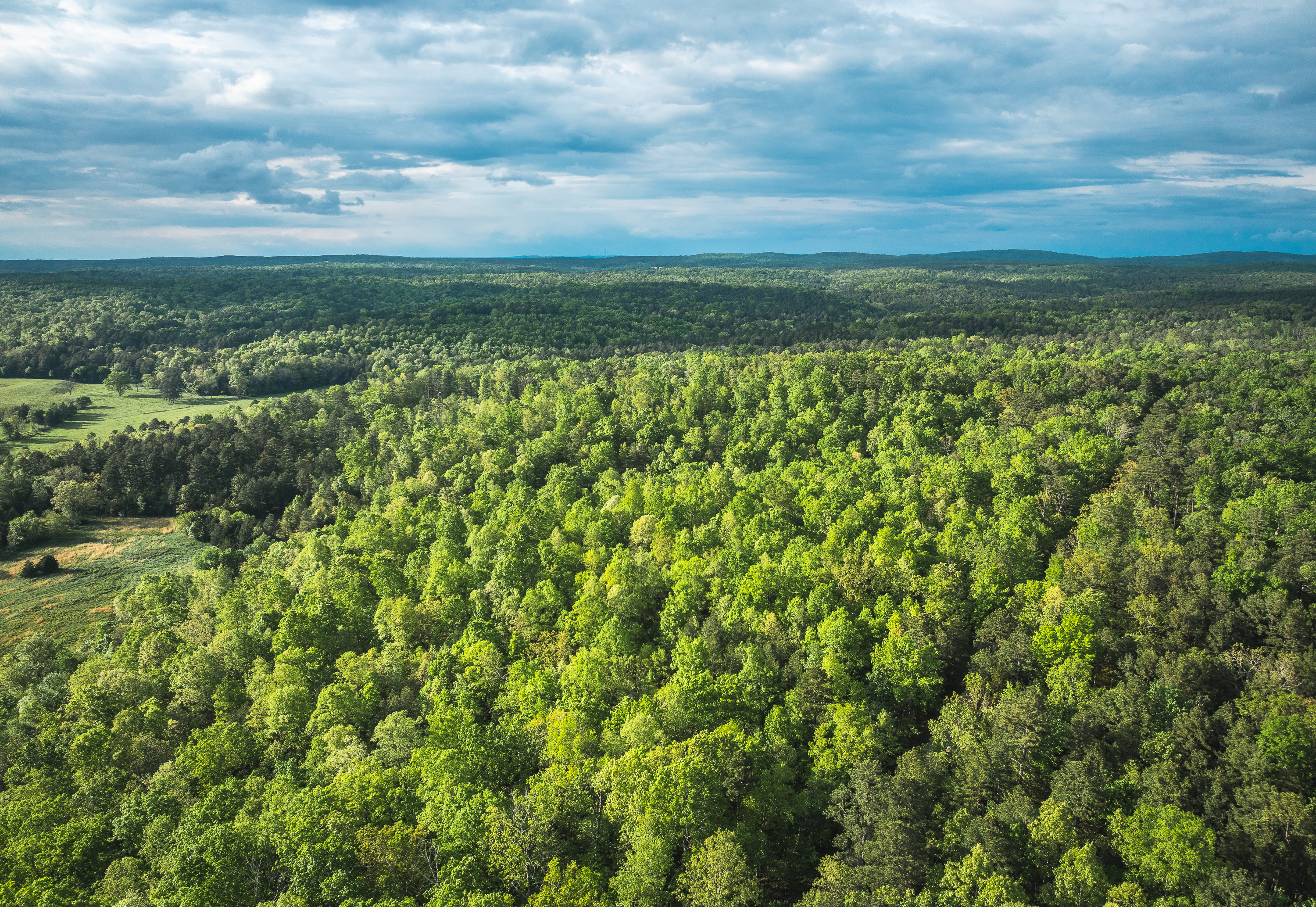 Low Wassie Winona Elk Ranch Tract 1