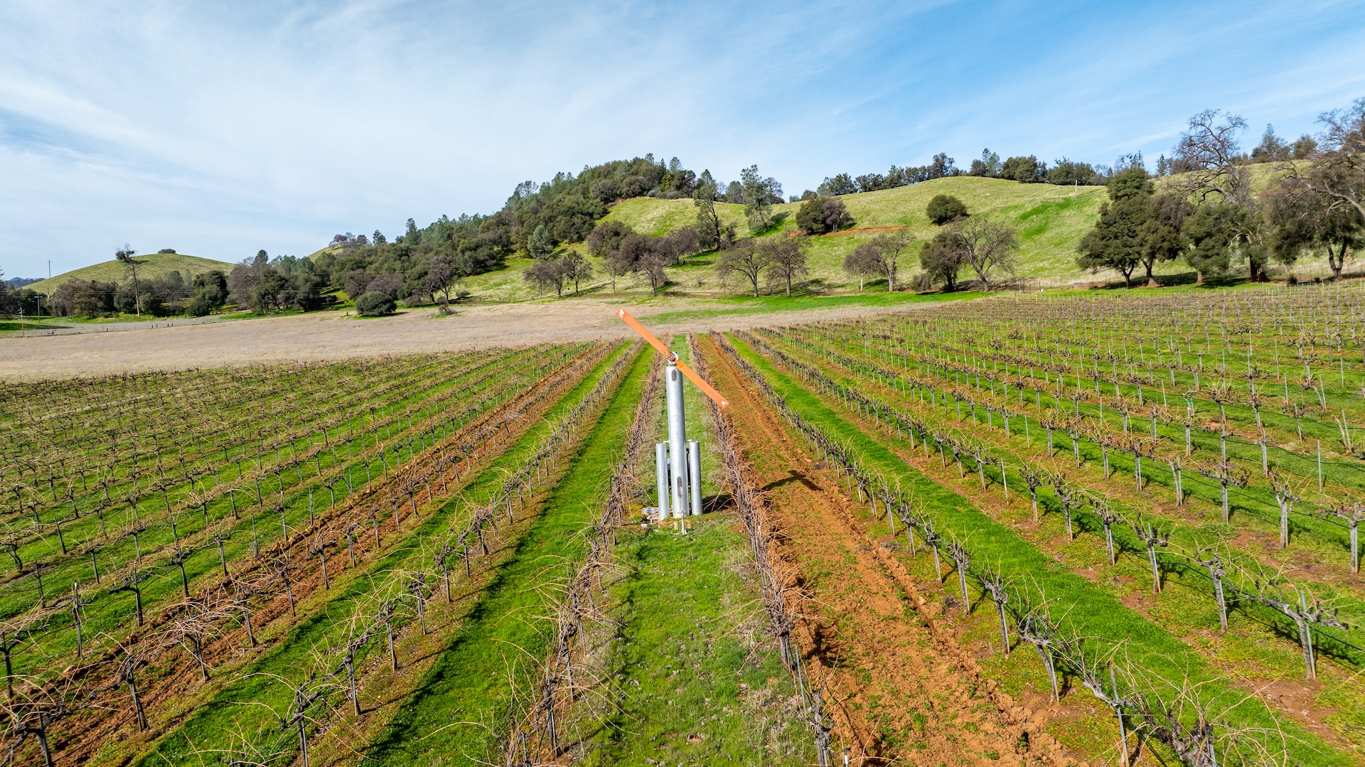Chatom Vineyards