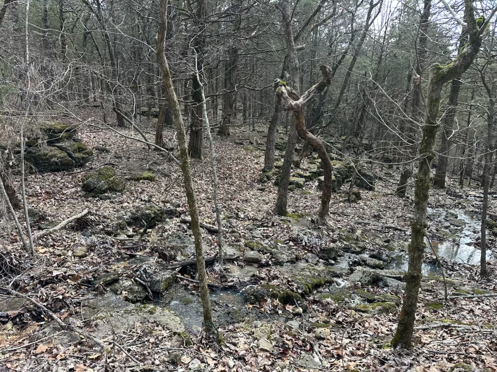 Bucks at Bend Acres