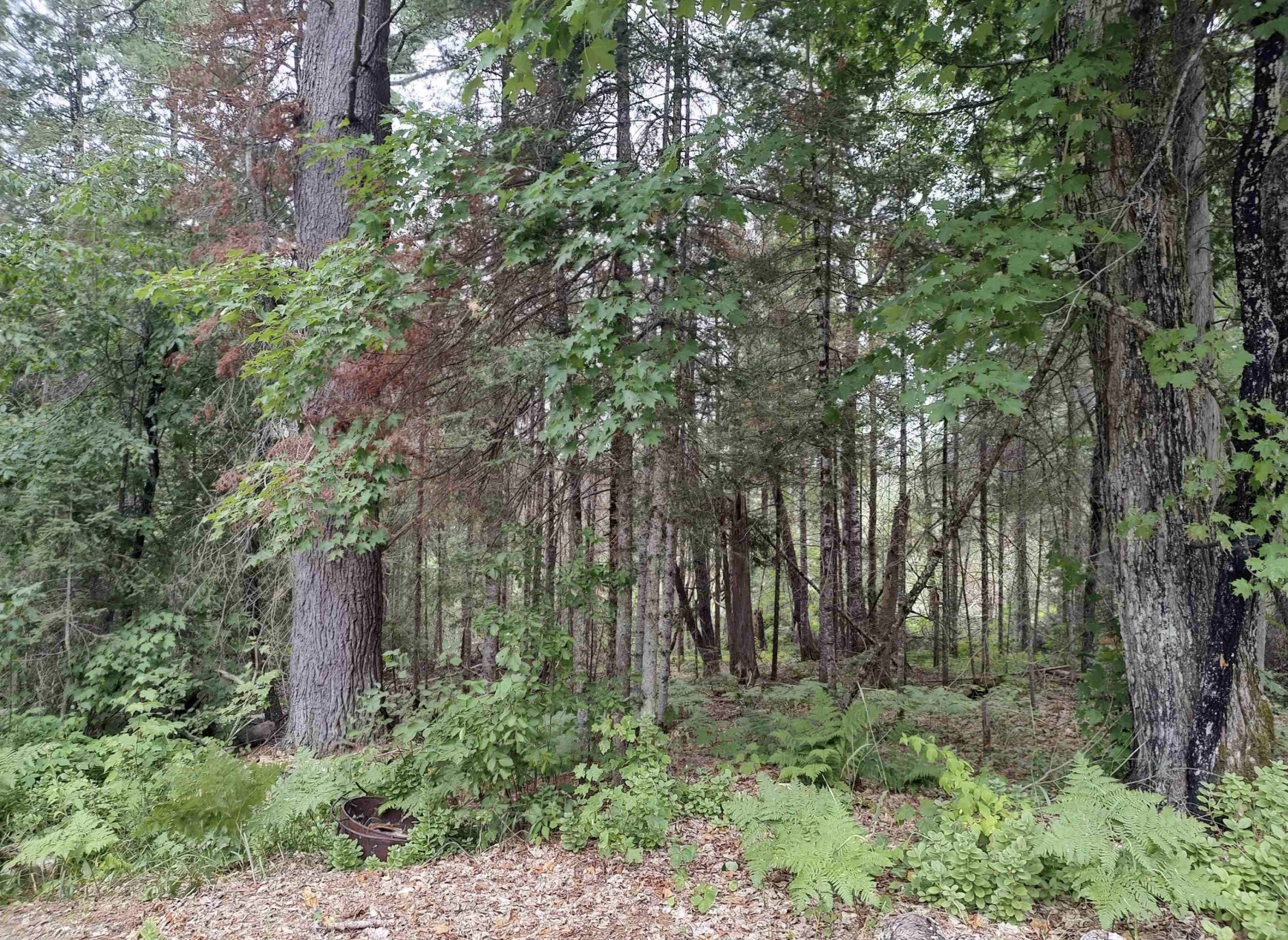 Baraga Wilderness Retreat 50185589