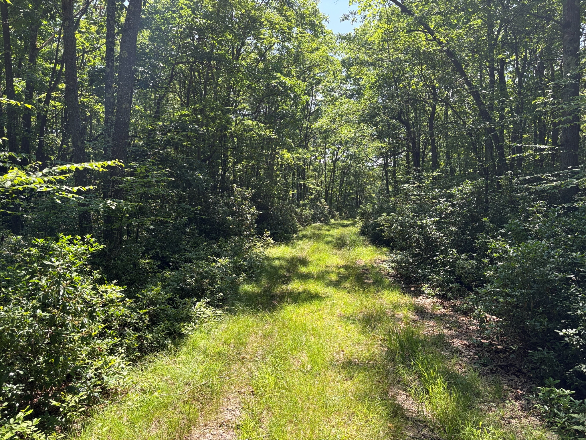 Listing Image 59