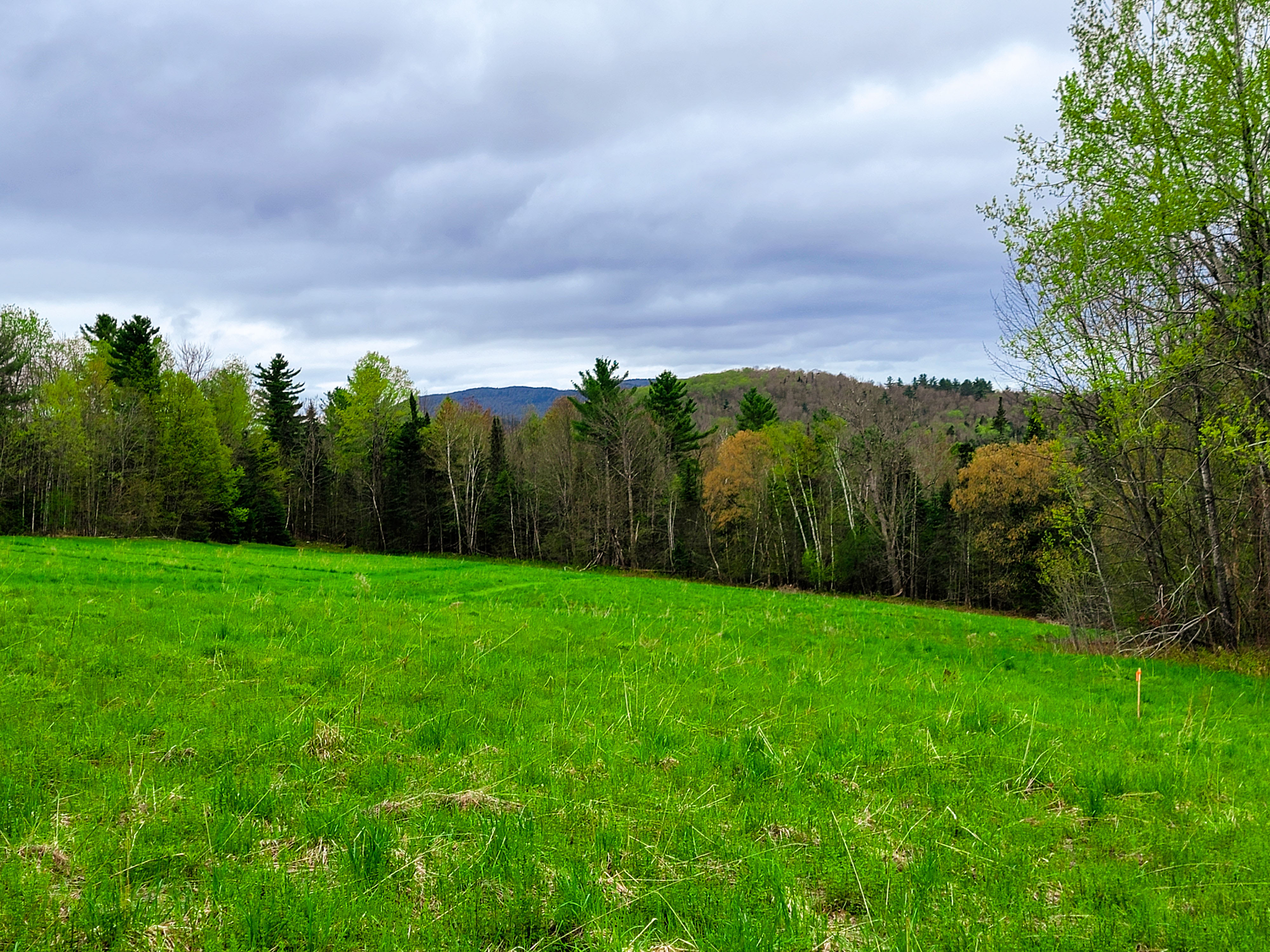855 Campbell Rd - Waterford