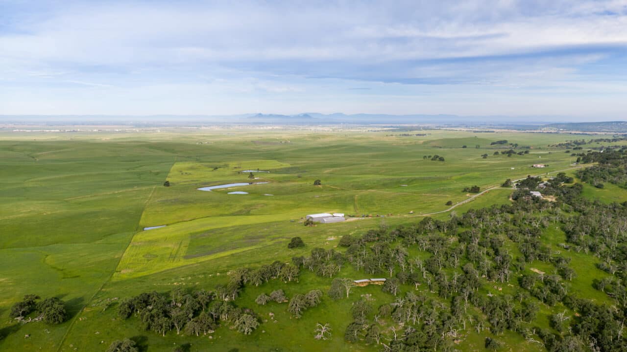 Listing Image 88