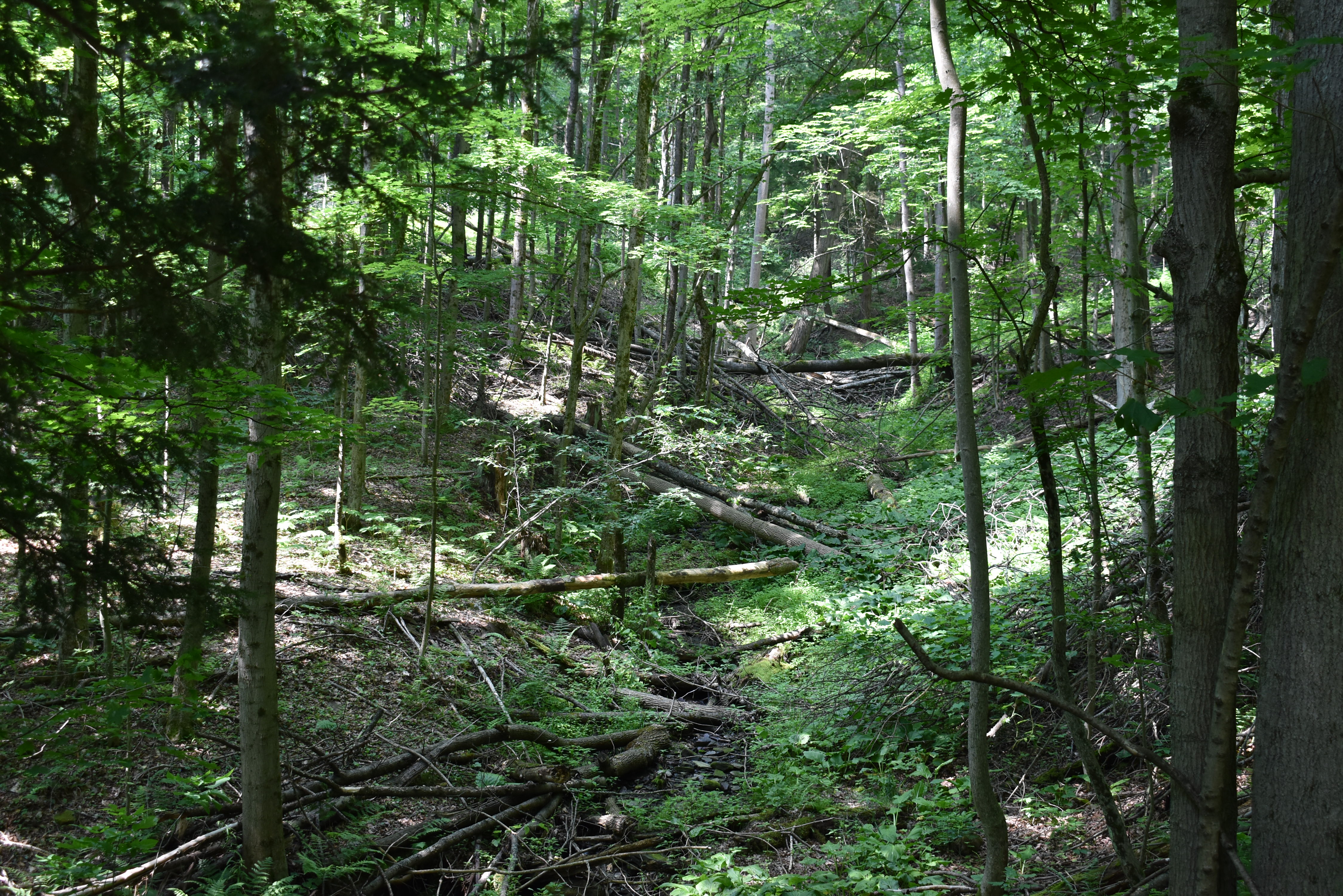 Listing Image 39