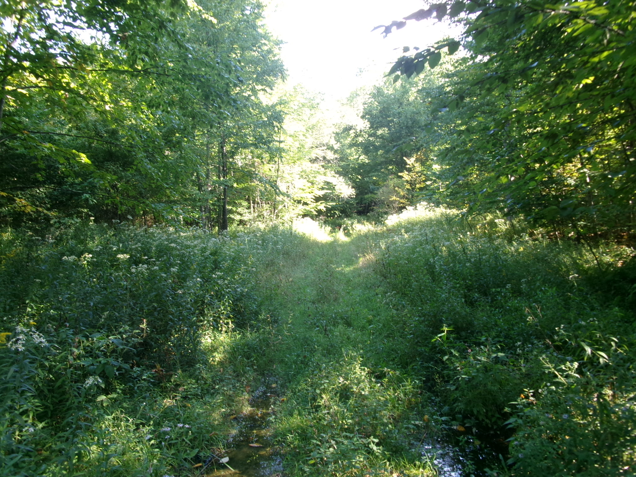 Listing Image 26