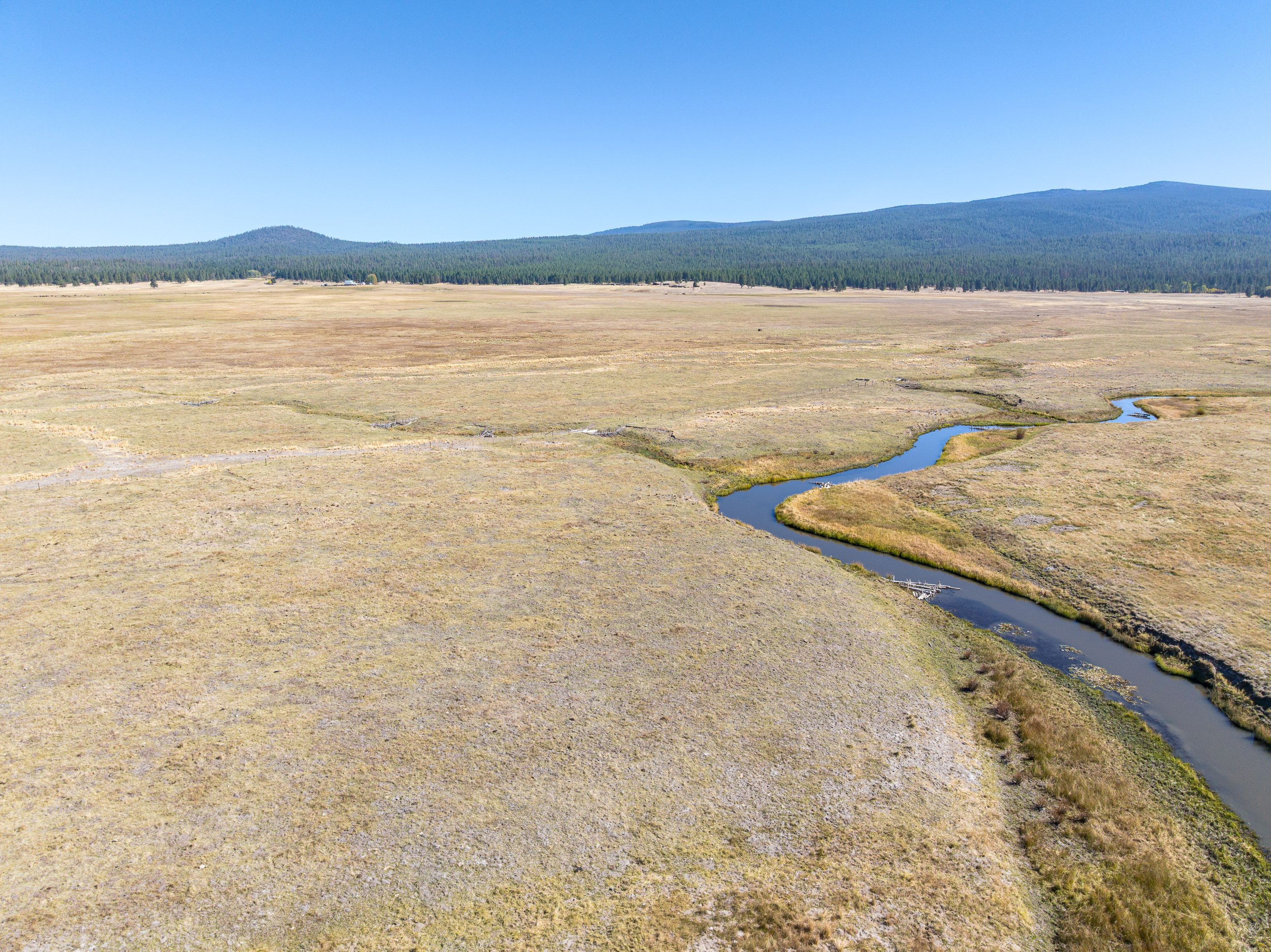Listing Image 47