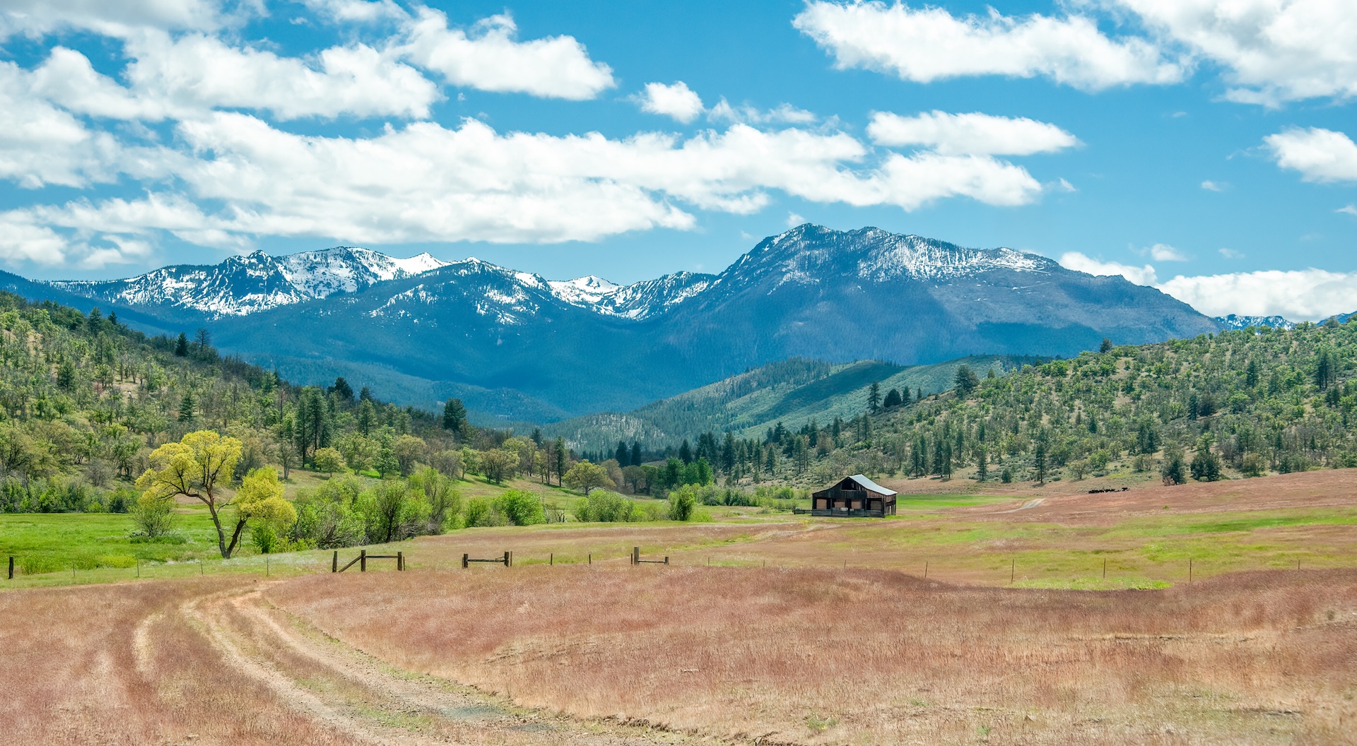AP Ranch